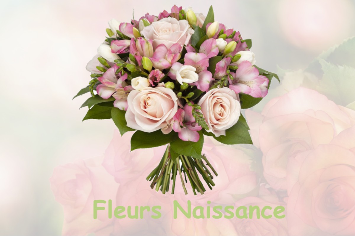 fleurs naissance NEUILLY-LE-REAL