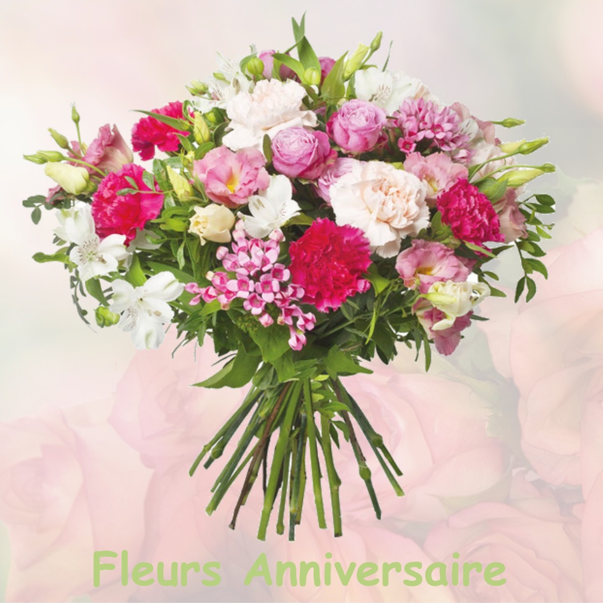fleurs anniversaire NEUILLY-LE-REAL